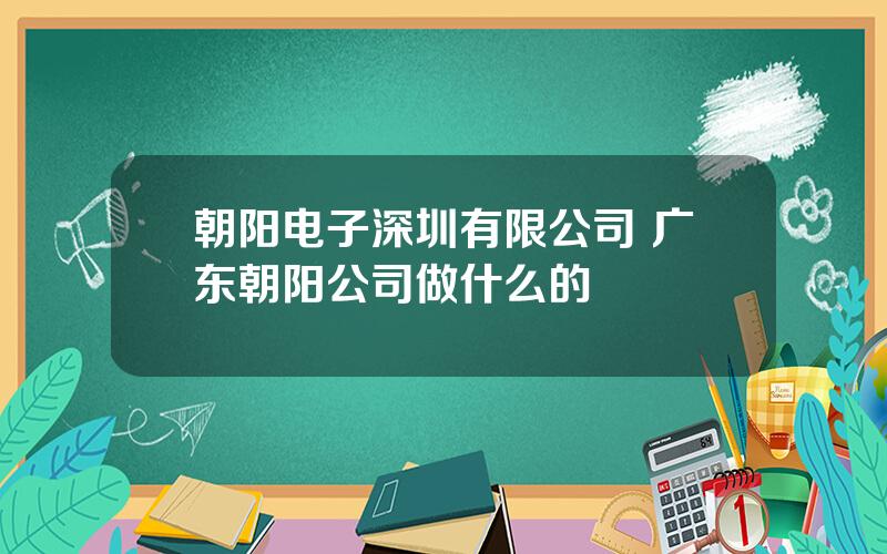 朝阳电子深圳有限公司 广东朝阳公司做什么的
